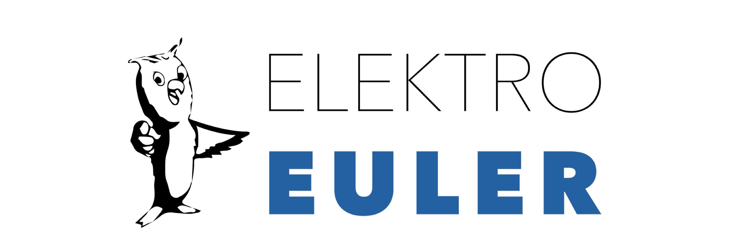 Sponsor Elektro Euler